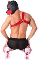 Ponožky Kinky Puppy Good Boy červené