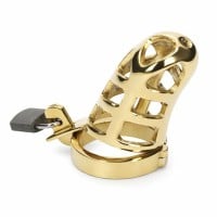 Klec na penis Slave4master Brutal Cage zlatá 45 mm