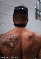 Mr. S Leather Neo Open Chin Face Harness