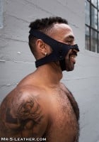 Mr. S Leather Neo Open Chin Face Harness