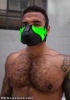 Mr. S Leather Neo Open Chin Face Harness