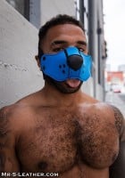 Mr. S Leather Neo Open Chin Face Harness