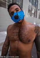 Mr. S Leather Neo Open Chin Face Harness