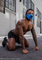 Mr. S Leather Neo Open Chin Face Harness