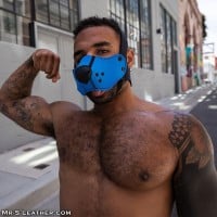 Mr. S Leather Neo Open Chin Face Harness