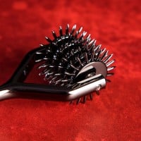 Wartenbergovo koliesko Sei Mio Wonder-Wheel