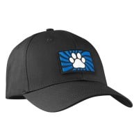 Nášivka Darklands Blue Paw