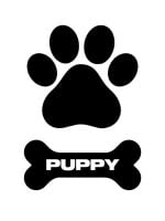 Dočasné tetovanie Mister B Puppy Pack