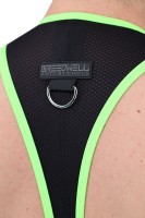 Singlet Breedwell After Dark Singlet neónovo zelený