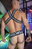 Postroj Breedwell Cumdump Bulldog Harness černý
