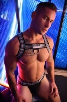 Postroj Breedwell Cumdump Bulldog Harness černý