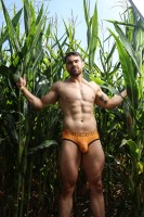 Sukrew Sheer Apex Brief Shadow Blaze