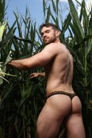 Sukrew Sheer Low-Rise Thong Shadow Black