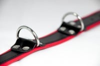 Slave4master Basic Leather Collar Red