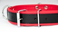 Slave4master Basic Leather Collar Red