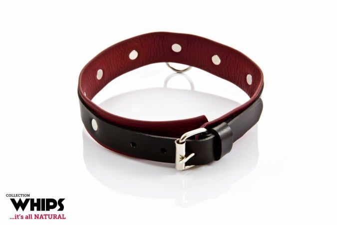 Whips Leather Collar for Her Thin