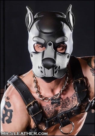 Psí maska Mr. S Leather Neoprene K9 Hood šedá