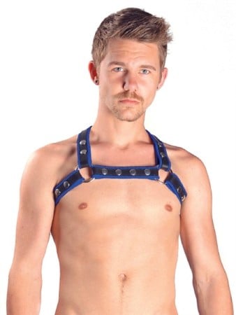 Mister B Leather X-Back Harness Premium Blue