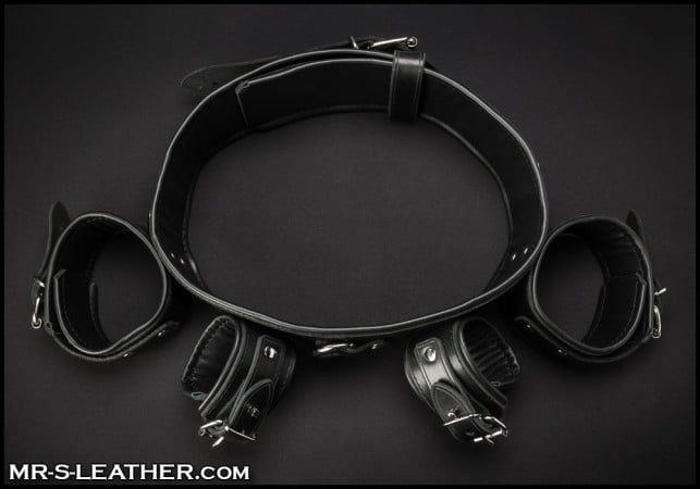 Mr. S Leather Chest to Wrist Restraint