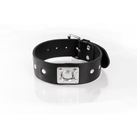 Whips Primal Bond Studded Collar Large Black