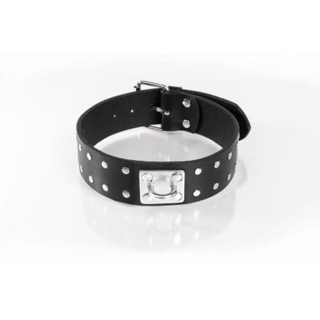 Whips Primal Bond Double Studded Collar Small Black