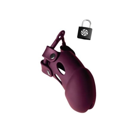 Lola Games Vanilla Guard Cock Cage