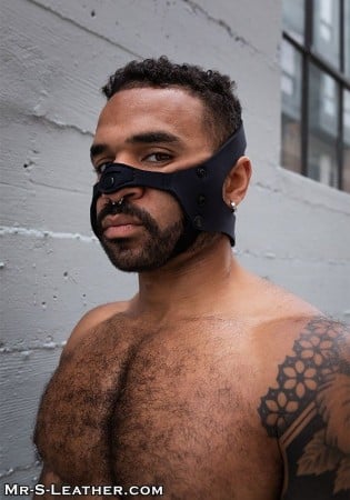 Mr. S Leather Neo Open Chin Face Harness