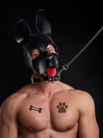 Mister B Temporary Tattoo Puppy Pack