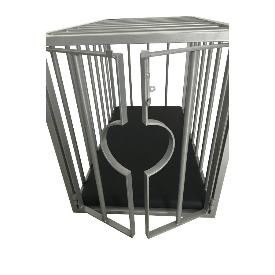 Bdsm Cage
