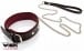 Whips Leather Collar with Leash for Her