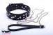 Whips Leather Collar with Leash for Him
