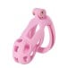 Hidden Desire Extreme Penis Prison Cock Cage Regular Pink