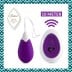 FeelzToys Anna Remote Vibrating Egg Deep Purple