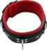 Mister B Leather Slave Collar with Red Padding